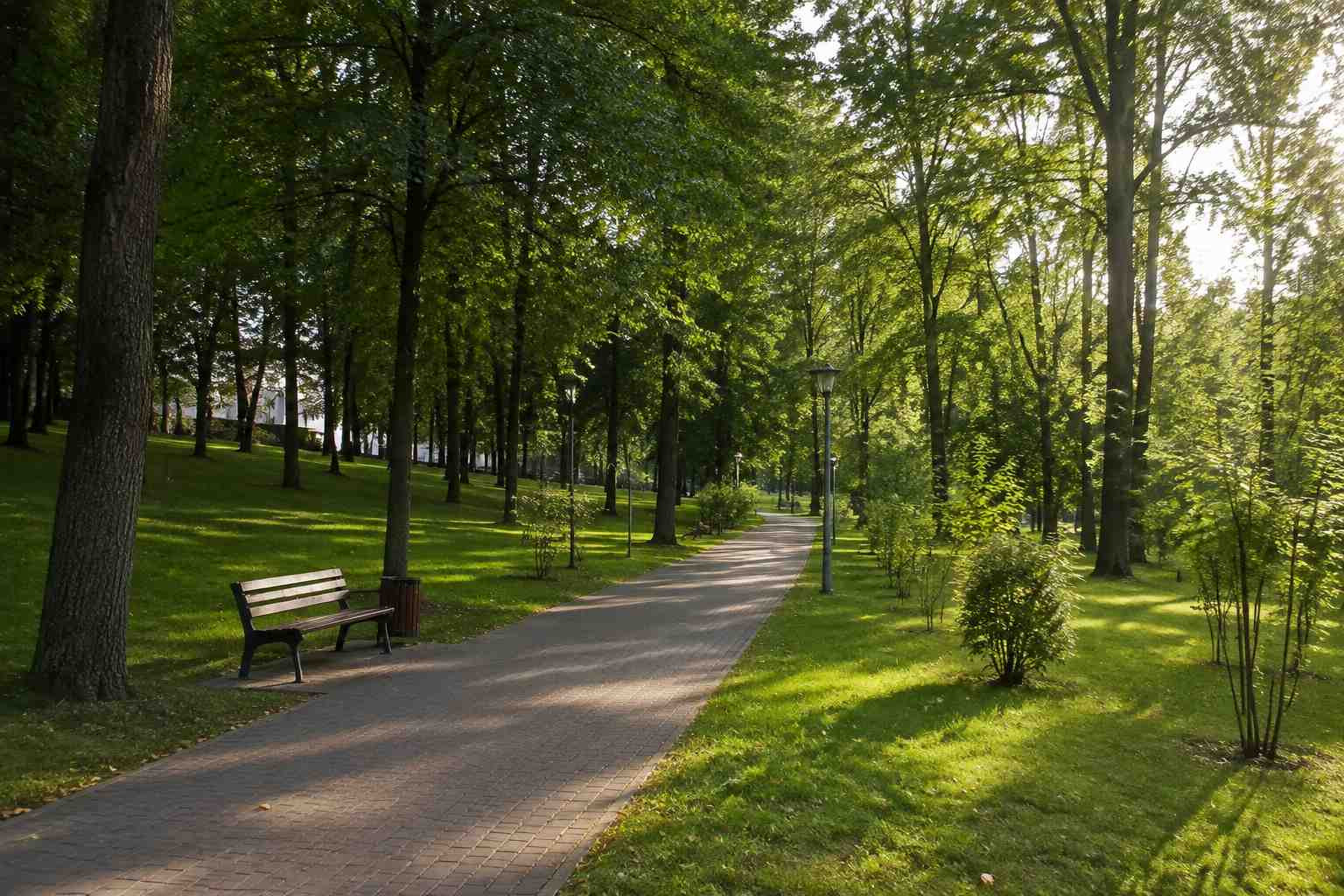 https://ulyanovsk.blago-s.ru/storage/app/uploads/public/6a7/eef/ed2/6a7eefed2af22038960370.jpg